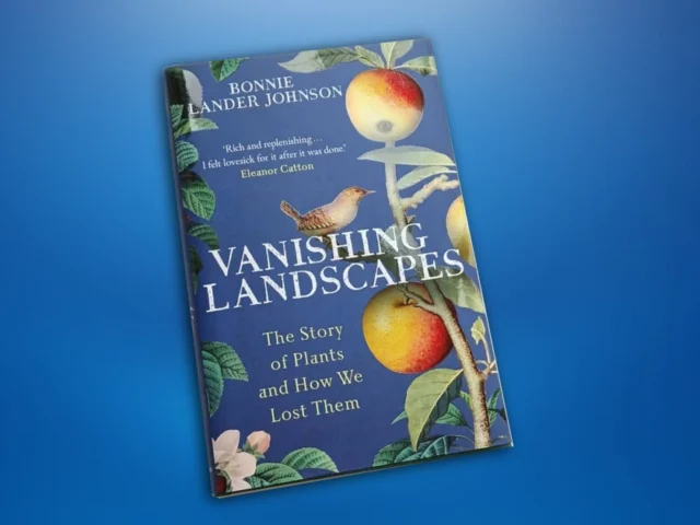 A Beautiful World lost to Modernity