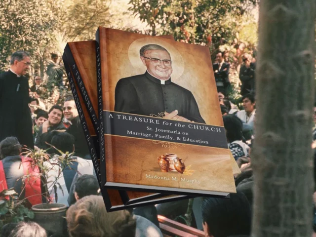 Watching and hearing a saint